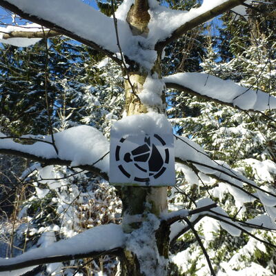 Bild vergrößern: Auf dem Bild zu sehen ist eine Reitwegebeschilderung am verschneiten Baum.