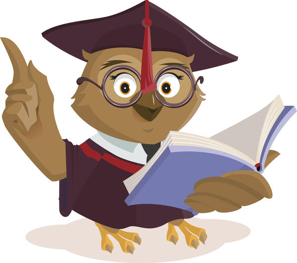 Owl teacher reading book. Isolated on white vector cartoon illustration