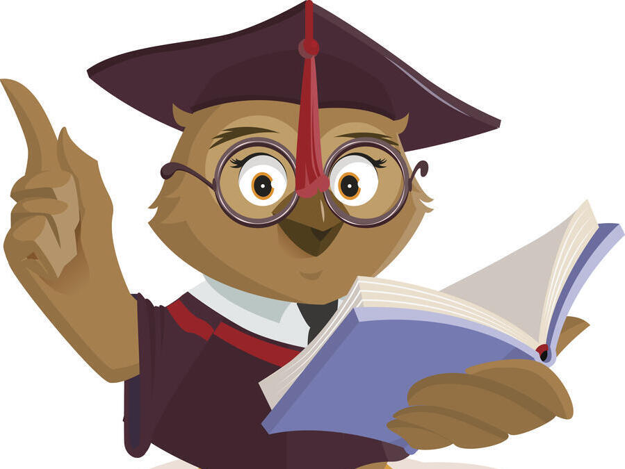 Bild vergrößern: Owl teacher reading book. Isolated on white vector cartoon illustration
