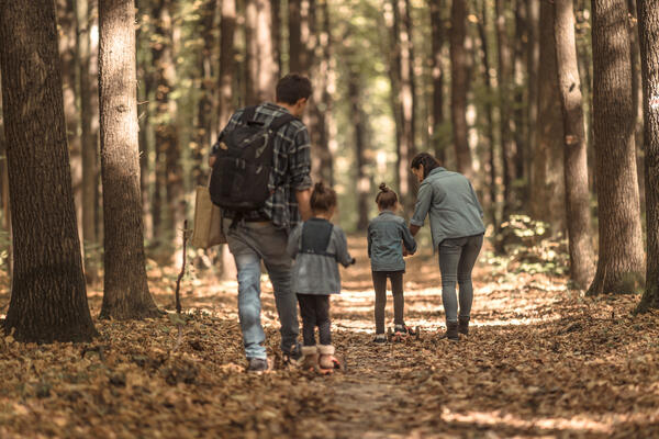 Bild vergrößern: Dargestellt ist eine junge Familie die auf einen mit Laub bedeckten Weg in einem herbstlichen Wald spazieren gehen.