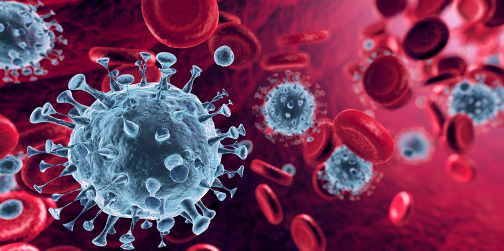 Bild vergrößern: Sie sehen auf dem Bild die Corona-Viruszellen im Blutkreislauf