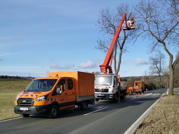 Bild vergrößern: Das Bild zeigt die Fahrzeuge der Straßenmeisterei - ein orangefarbiger Transporter und eine Hebebühne. Damit werden die Baumkronen der Bäume am Straßenrand beschnitten.