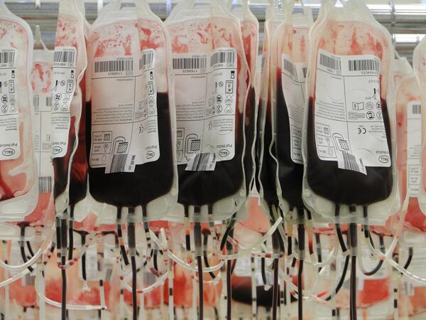 Bild vergrößern: Das Bild zeigt hängende Blutspendebeutel