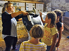 Das Bild zeigt Kinder, die eine Kuh streicheln