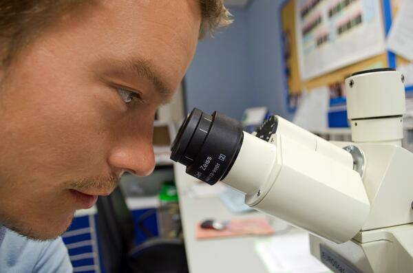 Das Bild zeigt einen Laborant am Mikroskop