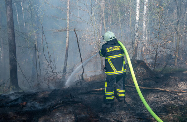Das Bild zeigt einen Feuerwehrmann, der einen Waldbrand bekämpft. Dabei hält er einen Wasserschlauch über die Schulter und versucht das Feuer zu löschen.