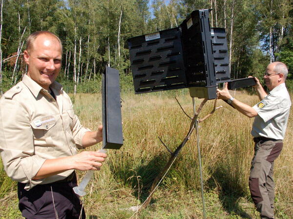 Bild vergrößern: Revierförster Sebastian Brand (links) und Kay Oertel Leiter der Forstbehörde (rechts) beim Leeren der Borkenkäferfallen