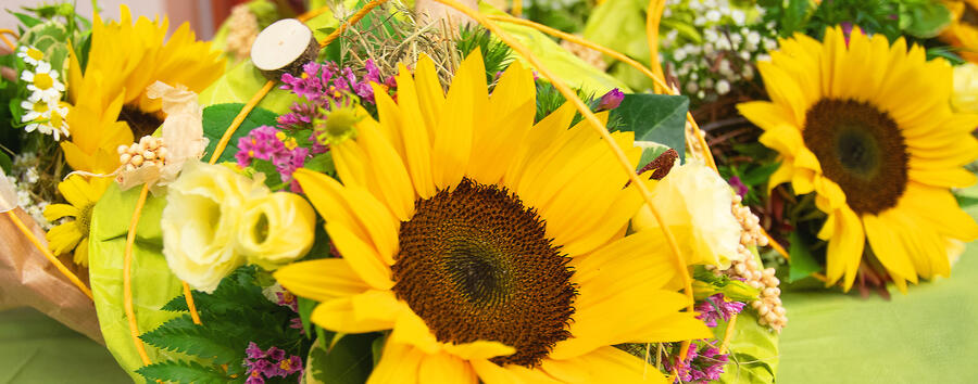 Bild vergrößern: Sonnenblumen