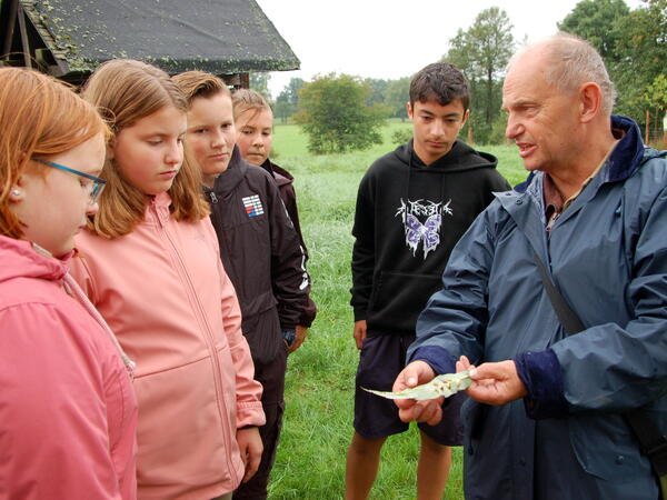 Bild vergrößern: Reiner Tschaschke, Mitarbeiter im NUZ, zeigte den Schülerinnen und Schülern Eier der Gallwespe.