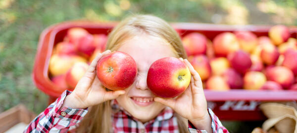 Der Herbst ist die Zeit der Apfelernte.