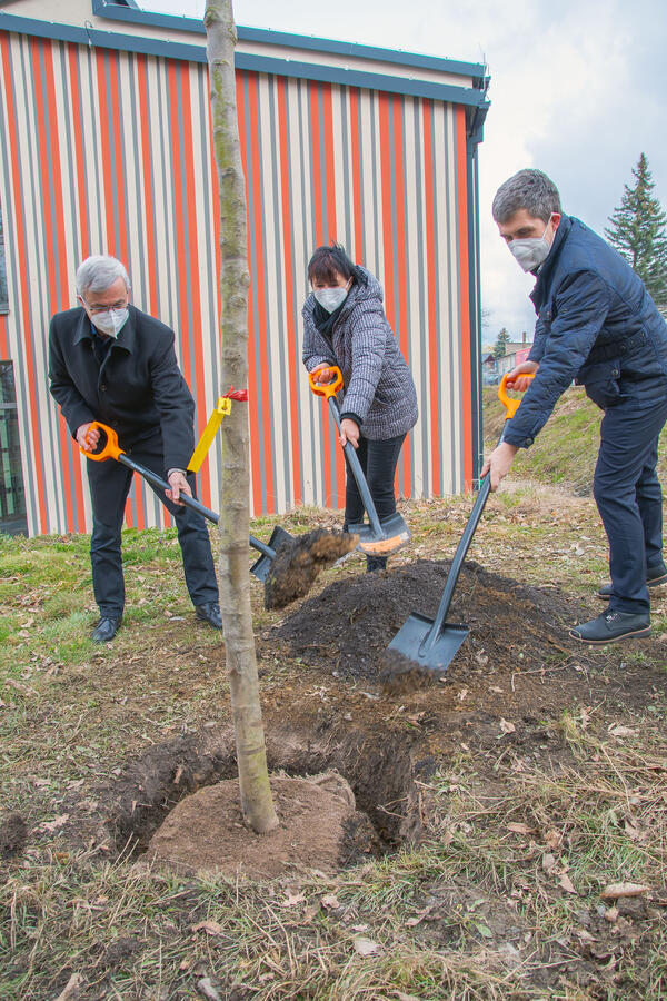 Bild vergrößern: Landrat Rolf Keil, Schulleiterin Silke Millermann und Stefan Kahlert, Geschäftsstellenleiter Chemnitz des Erfurter Unternehmens PDV (von links nach rechts) pflanzten den Baum gemeinsam.