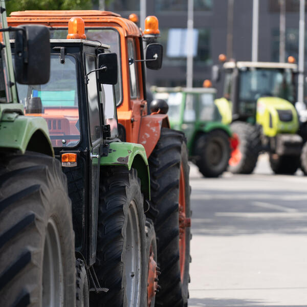 Mehrere Traktoren stehen auf einer Straße
Symbolbild Bauernproteste
