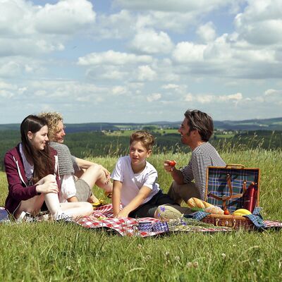 Bild vergrößern: Das Bild zeigt eine Familie, die auf einer grünen Wiese picknickt.