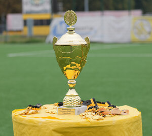 Bild vergr&ouml;&szlig;ern: Das Bild zeigt einen Wanderpokal.