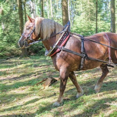 Holzr&uuml;ckung mit Pferd "Max".
