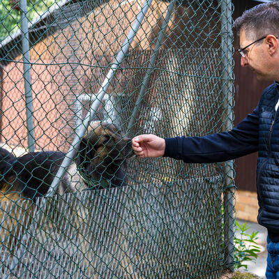 Bild vergr&ouml;&szlig;ern: Landrat Thomas Hennig steht vor einem Hundezwinger und h&auml;lt einem Hund die Hand durch den Zaun entgegen. Der Hund steht hinter dem gr&uuml;nen Maschendrahtzaun und schnuppert daran.
