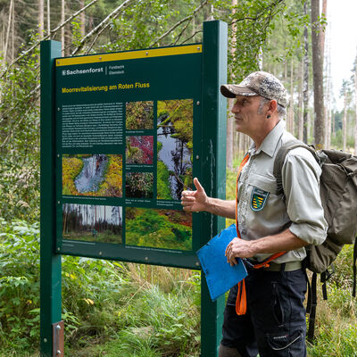Bild vergr&ouml;&szlig;ern: Ein F&ouml;rster steht neben einer gro&szlig;en Informationstafel zur Moorrevitalisierung am Roten Fluss und erl&auml;utert das Projekt.