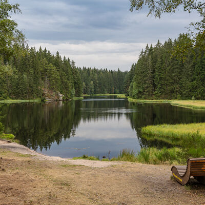 Bild vergr&ouml;&szlig;ern: Blick &uuml;ber den von Wald und Ufervegetation umgebenen Vogtlandsee. Im Vordergrund steht eine h&ouml;lzerne Bank.