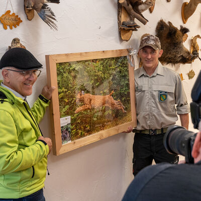 Bild vergr&ouml;&szlig;ern: Zwei M&auml;nner pr&auml;sentieren in einem Ausstellungsraum ein gro&szlig;es gerahmtes Foto eines Luchses. An den W&auml;nden sind Tierpr&auml;parate und Informationstafeln zu sehen.