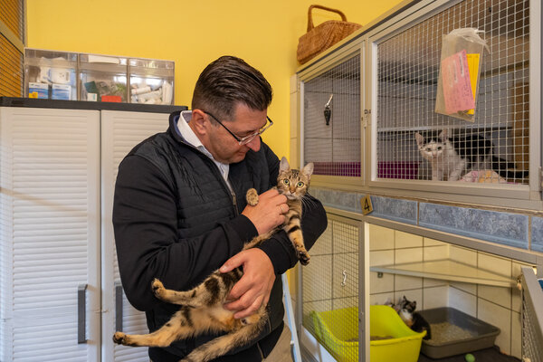 Bild vergr&ouml;&szlig;ern: Etwa 120 Katzen warten derzeit im Tierheim Plauen auf ein neues Zuhause.