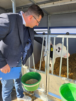 Bild vergr&ouml;&szlig;ern: Landrat Thomas Hennig beugt sich vor einer K&auml;lberbox zu einem schwarz-wei&szlig;en Kalb hinunter. Das Tier schaut zwischen Metallst&auml;ben hervor. An der mit Stroh eingestreuten Box h&auml;ngen gr&uuml;ne Futtereimer.
