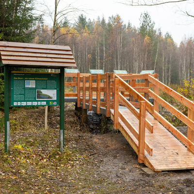 Bild vergr&ouml;&szlig;ern: Holzsteg mit Gel&auml;nder und &uuml;berdachte gr&uuml;ne Informationstafel am Rand einer herbstlichen Moorlandschaft.