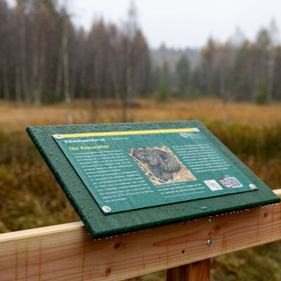 Bild vergr&ouml;&szlig;ern: Gr&uuml;ne Informationstafel auf einem Holzst&auml;nder vor einer herbstlichen Wiesenlandschaft mit B&auml;umen im Hintergrund.