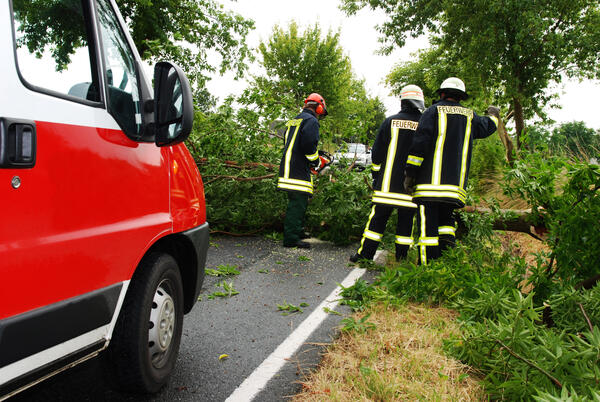 Bild vergrößern: Feuerwehreinsatz durch einen umgestürzten Baum