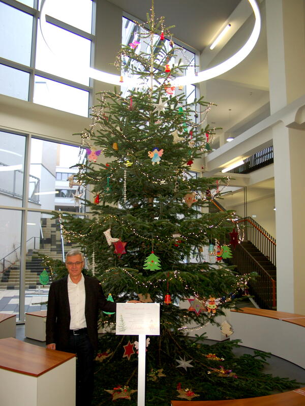 Bild vergrößern: Der sieben Meter lange Weihnachtsbaum ziert das Foyer des Landratsamtes.
