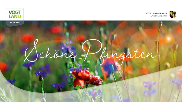 Bild vergr&ouml;&szlig;ern: Das Bild zeigt Blumen und eine Wiesen, davor die Schrift "Sch&ouml;ne Pfingsten"