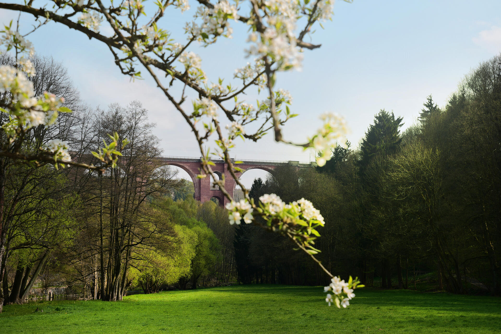 Elstertalbrücke im Frühling